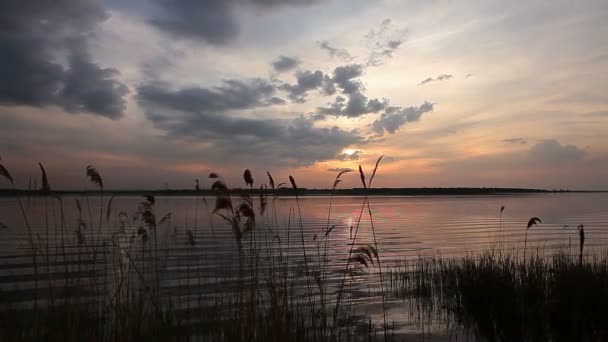 Захід Сонця Річці — стокове відео