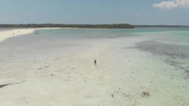 Tropik sahil adası resifi Karayip denizi beyaz kum barı Yılan Adası, Endonezya Maluku 