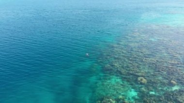  Mercan resifinde dalış yapan kadın yukarıdan tropikal deniz 