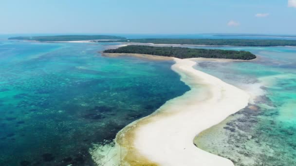 Tropikalna Plaża Wyspa Rafa Karaibska Morze Biały Piasek Bar Snake — Wideo stockowe