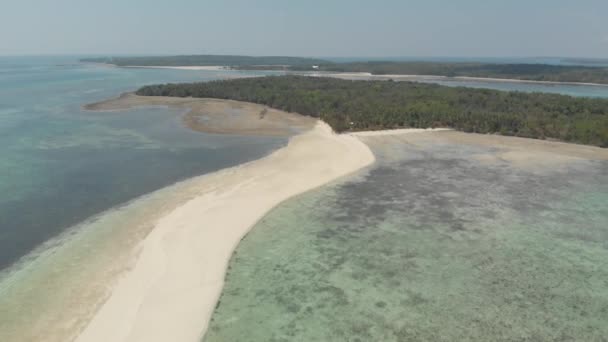 Plage Tropicale Île Récif Caraïbes Mer Sable Blanc Barre Snake — Video