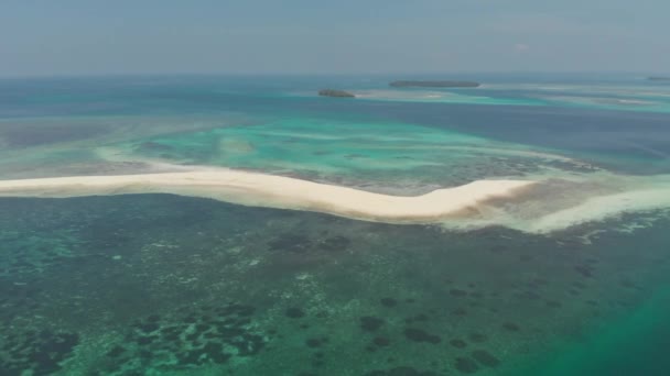 Tropikalna Plaża Wyspa Rafa Karaibska Morze Biały Piasek Bar Snake — Wideo stockowe