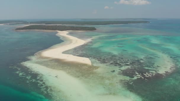 Tropikalna Plaża Wyspa Rafa Karaibska Morze Biały Piasek Bar Snake — Wideo stockowe