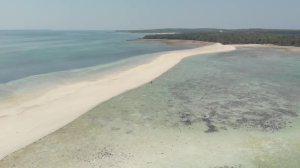 Tropik Sahil Adası Resifi Karayip Denizi Beyaz Kum Barı Yılan — Stok video
