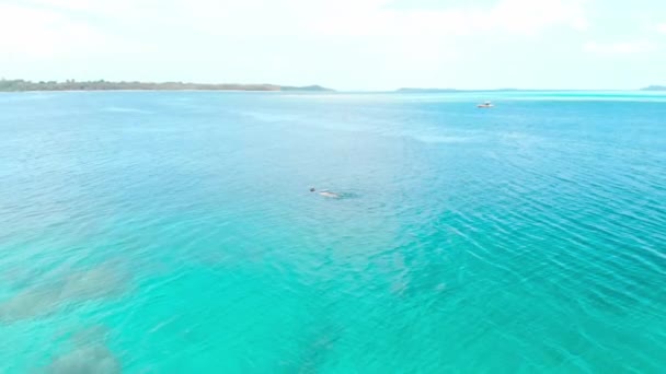 Γυναίκα Snorkeling Κοραλλιογενή Ύφαλο Τροπική Θάλασσα Από Ψηλά — Αρχείο Βίντεο
