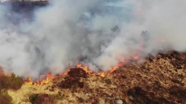 Vue Aérienne D'un Drone De Feu De Feu De Forêt Et De Terrain Brûlés, Dévastés Par Le Feu 