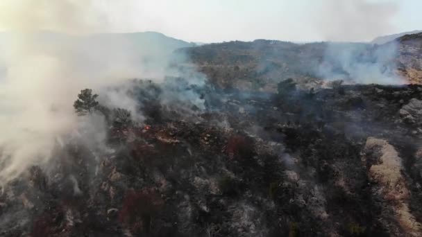 Воздушный Беспилотник Видом Пылающий Грунт Лес Опустошенный Огнем — стоковое видео
