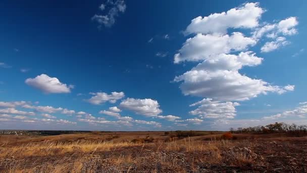Vidéo du paysage naturel d'automne  