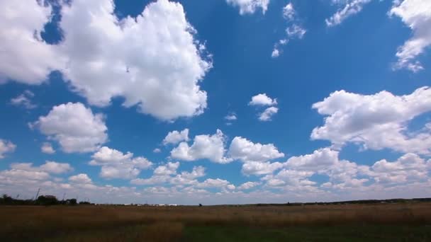 Video Von Der Herbst Naturlandschaft — Stockvideo