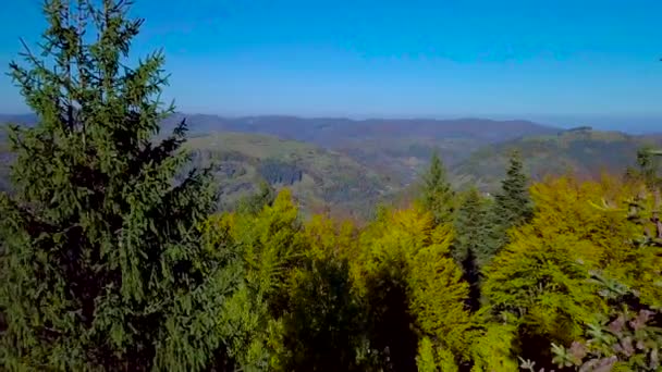 Volare Sulle Montagne Dei Carpazi — Video Stock