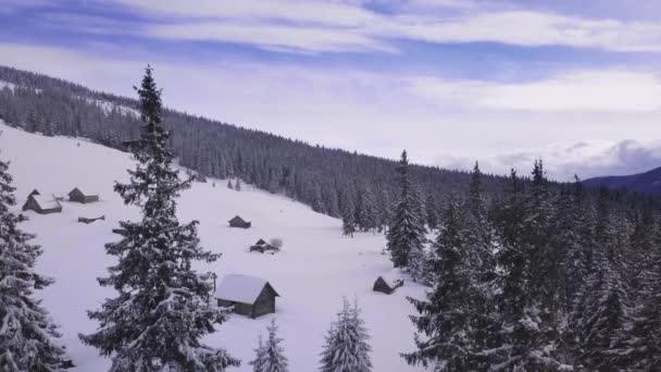 Voando Sobre Floresta Montanhas Casas Pastores Inverno — Vídeo de Stock
