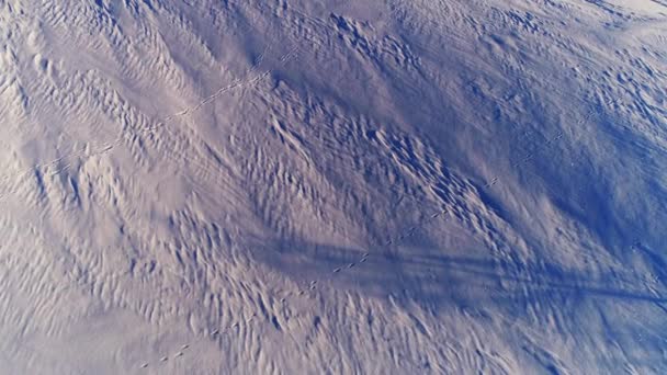 ウィンターランド上空を飛ぶ 山雪に覆われた冬の風景 — ストック動画