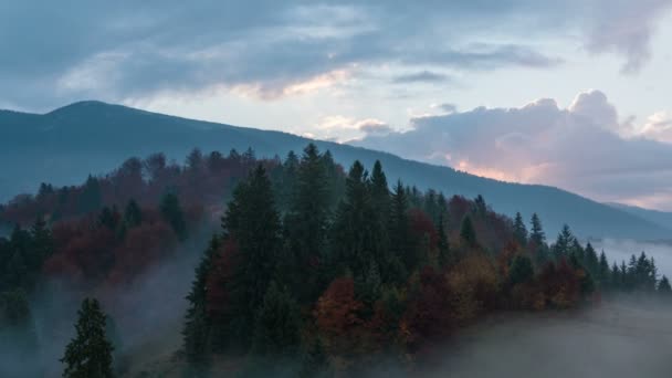 Video Von Nebliger Sonnenaufgangslandschaft — Stockvideo