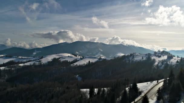 Alberi Neve Invernali Vista Aerea Volare Sopra Natura — Video Stock