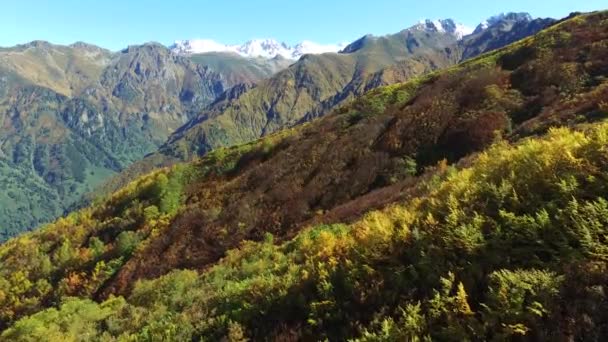 Natuurlijke Herfstkleuren Van Scrubland — Stockvideo