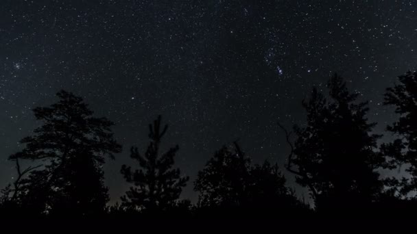 Stjärnhimmel Och Soluppgång — Stockvideo