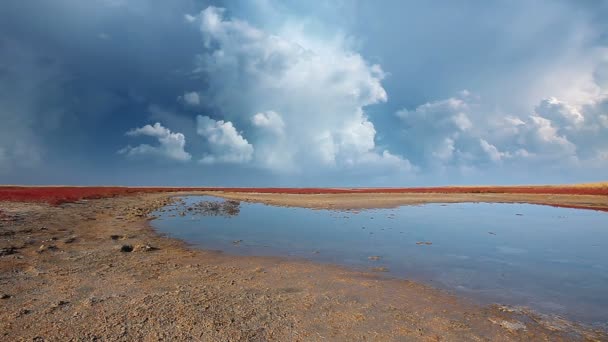 Βίντεο Από Τοπίο Της Φύσης Steppe — Αρχείο Βίντεο