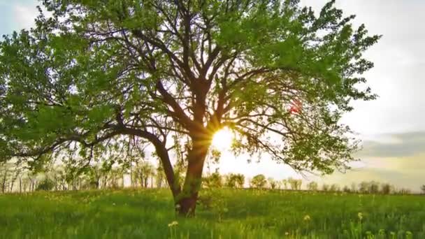  Vidéo du paysage estival - Coucher de soleil 