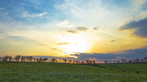 Vidéo Paysage Estival Coucher Soleil — Video