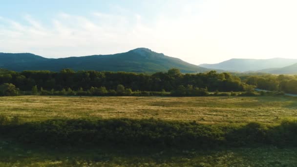 Videó Festői Nyári Táj — Stock videók