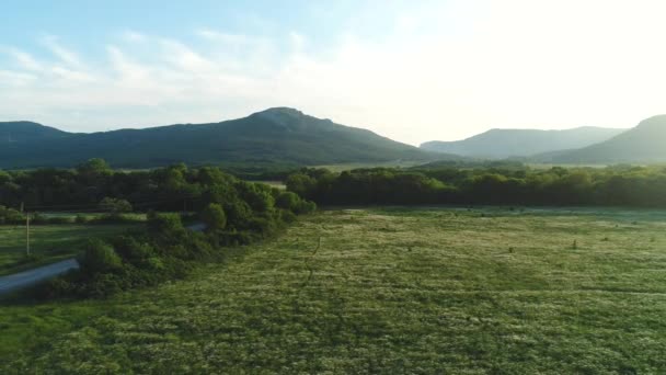 风景如画的夏季风景录像 — 图库视频影像