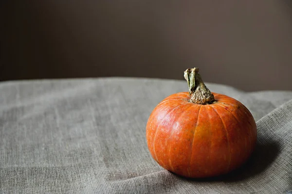 Bej arkaplanda fotokopi alanı olan turuncu balkabağı