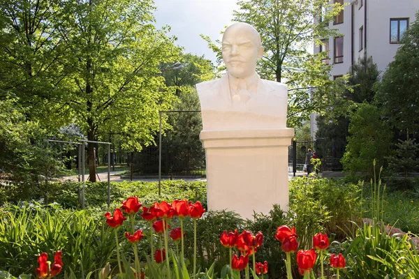 Rusya, Kazan - 12 Mayıs 2019: Parkta Vladimir Lenin anıtı, kırmızı lalelerin çiçek açtığı yer.