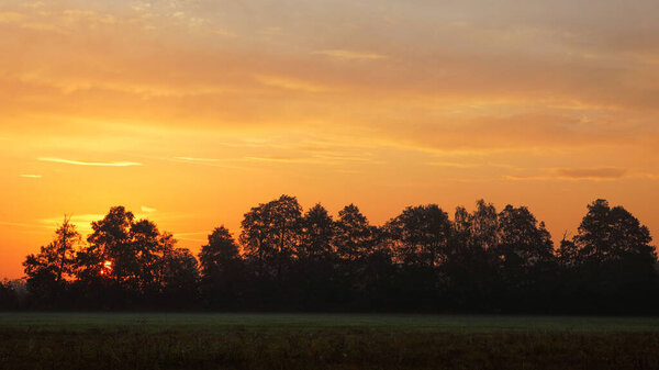Golden sunrise behind the alder trees (dawn on an autumn meadow)