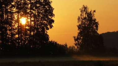 Sonbahar gündoğumu, sis ve ağaç siluetleri.
