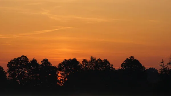 Sonbahar gündoğumu ve ağaç siluetleri.