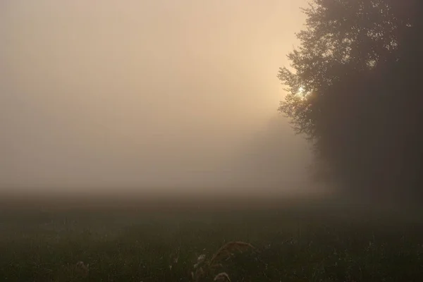 Die Aufgehende Sonne Durch Den Herbstnebel Gesehen — Stockfoto