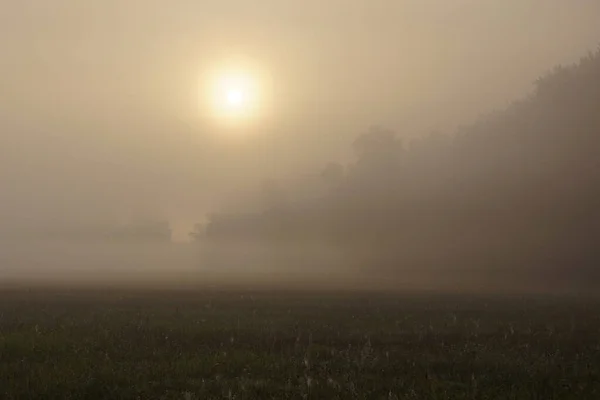 Sol Nascente Visto Através Nevoeiro Outono — Fotografia de Stock