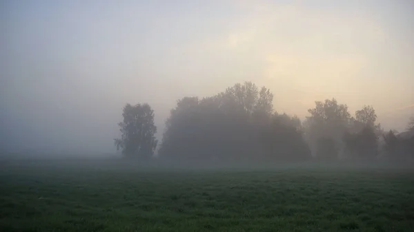 Wachten Zonsopgang Herfstmist — Stockfoto