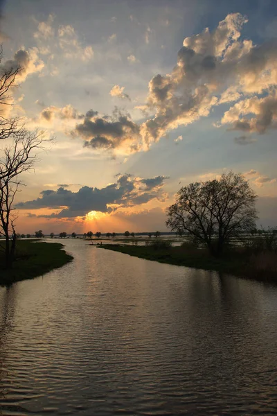 Baharda gün batımı sel basmış çayırlarda