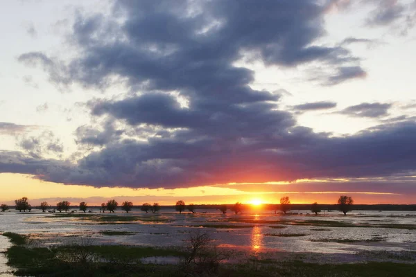  Bir bahar çayırında gün batımı, fırtınalı bir günü taçlandırıyor