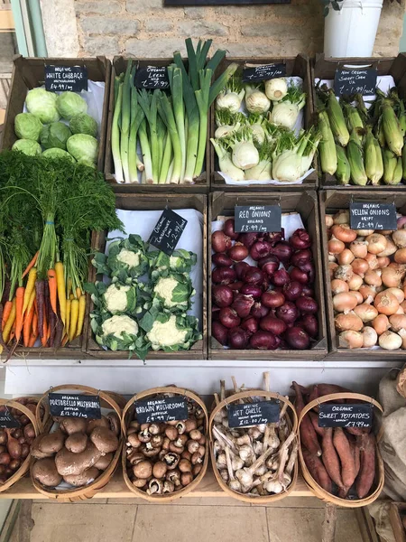 Bioladen Mit Preisschildern Mit Zwiebeln Pilzen Karotten Lauch Und Kohl — Stockfoto