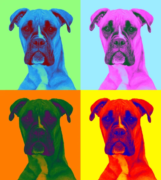 用流行艺术风格制作的细心的狗 三种鲜艳的颜色 — 图库照片