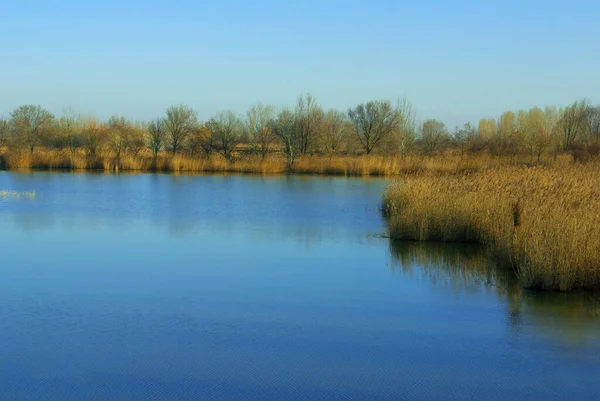 冬の終わりにイタリア北部の湿地帯 — ストック写真