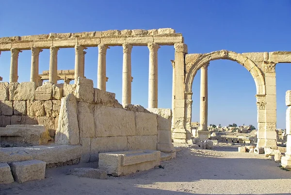 Antiche Rovine Romane Nel Sito Archeologico Palmira Nel Deserto Siriano — Foto Stock