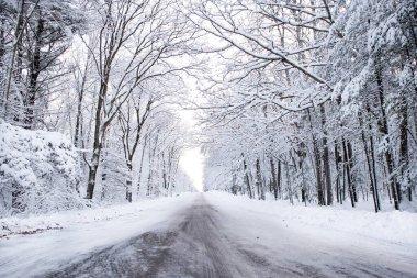 Ocak ayında kar yağışı Wausau, Wisconsin 'deki W. Wausau Bulvarını kapladı.