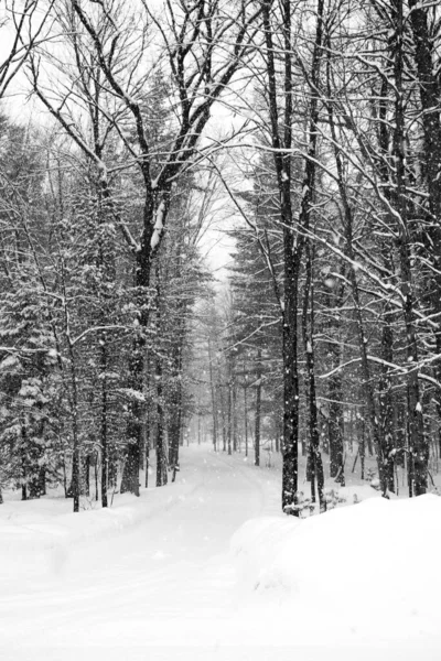 Snötäckt Väg Februari Snöstorm Wausau Wisconsin Får Till Två Inches — Stockfoto