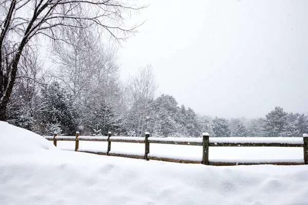 Snö Täckt Staket Februari Snöstorm Wausau Wisconsin Till Två Inches — Stockfoto