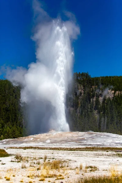 Old Faithful Geyser Shooting Air August Yellowstone Park Wyoming — Stock Photo, Image