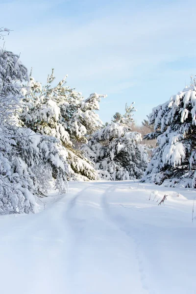 Snötäckt Väg Wausau Wisconsin Januari Månad Vertikal — Stockfoto