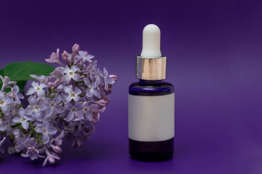 Serum, temel yağlar ya da kahverengi cam şişedeki sıvı kolajen, pipetli, mavi sırt gradında izole edilmiş, boş etiket, kopyalama alanı, leylak
