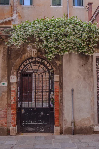 Vieilles Portes Avec Des Fleurs Vieille Venice Italy — Photo