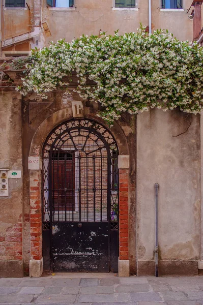 old doors with flowers, of the old Venice.Italy