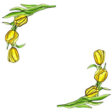 Lale çiçekli sınır çerçevesi davetiye kartı sarısı