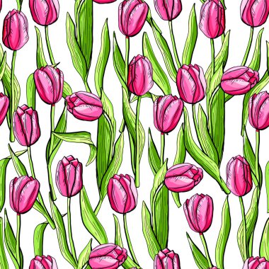 Lale çiçeği desensiz desen arka plan pembesi