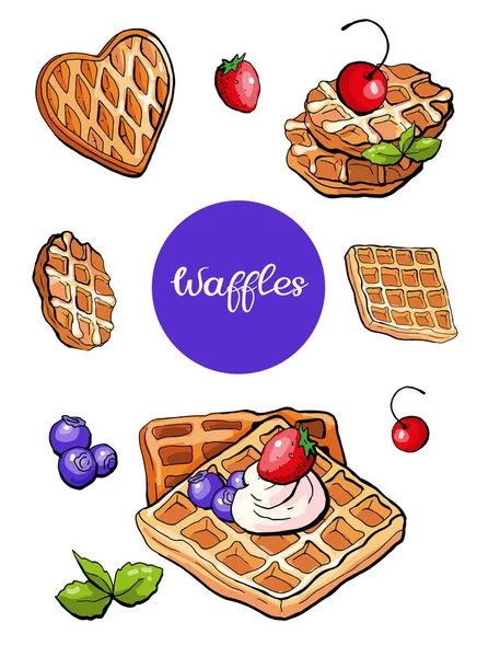 Vector Illustration Bakery Waffles Wafer Elements Set — Stock Vector